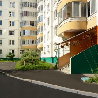 Экстерьер