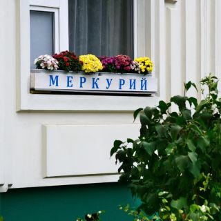 Экстерьер